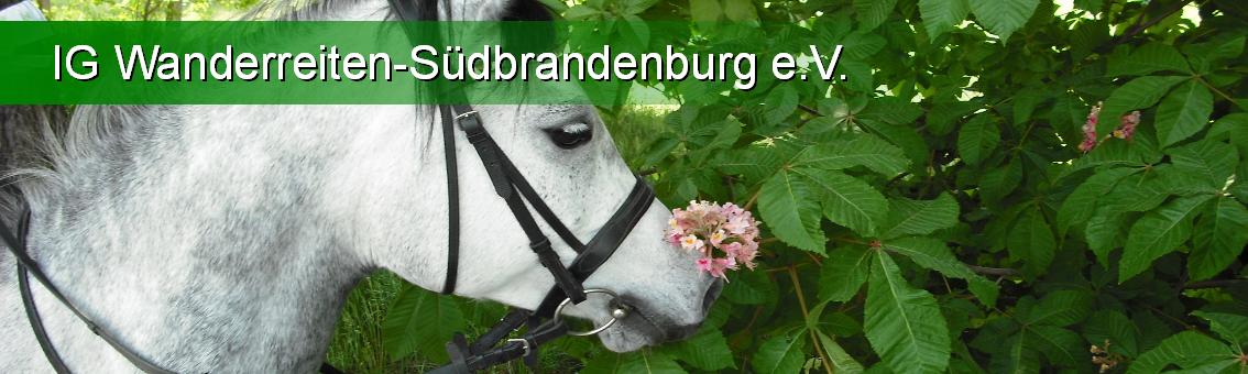 Wanderreiten Südbrandenburg e.V.